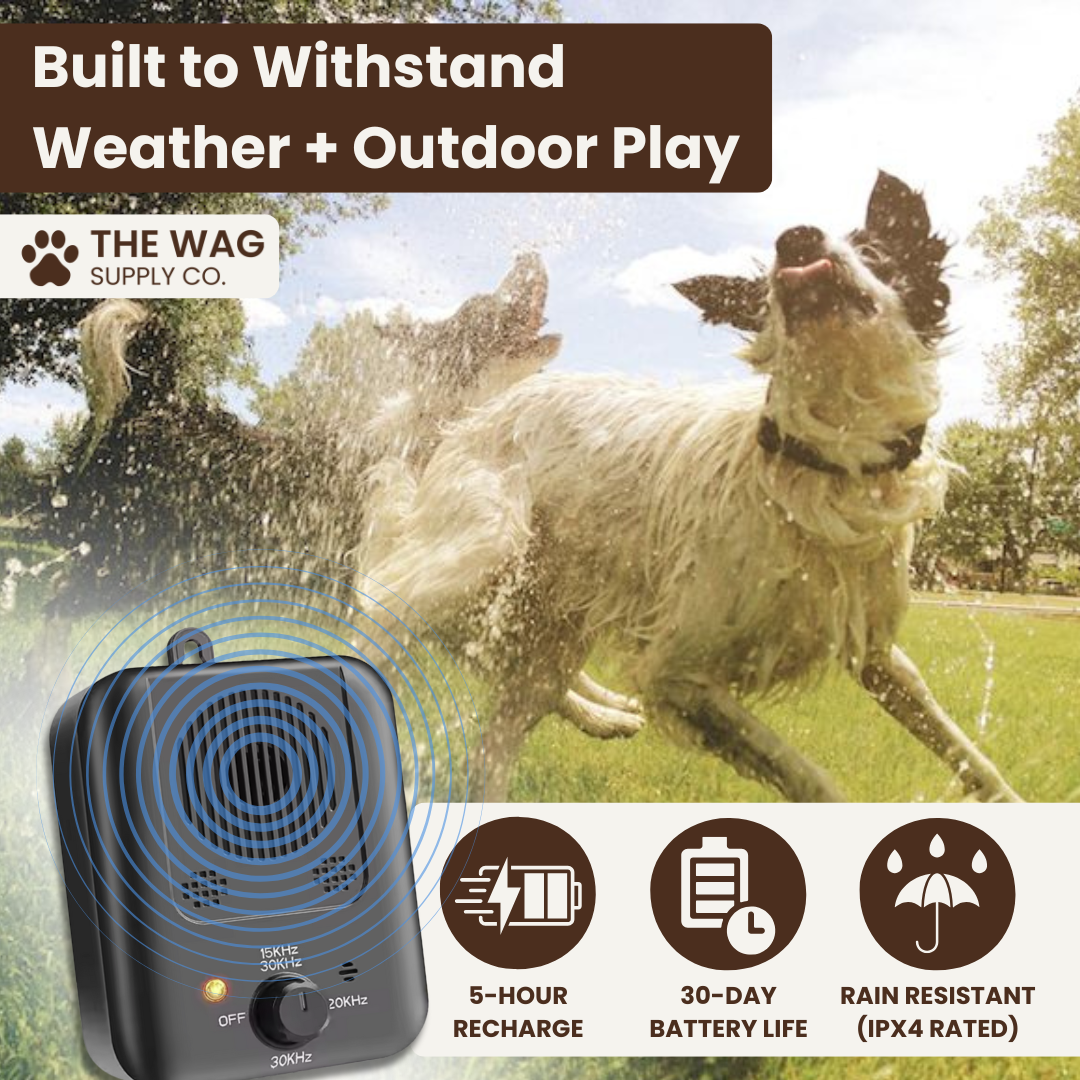 BarkBlock: Anti-Bark Device